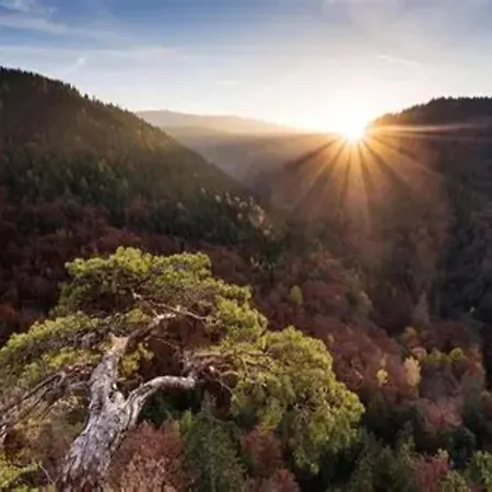 Apartman Im Historischen Bahnhof,